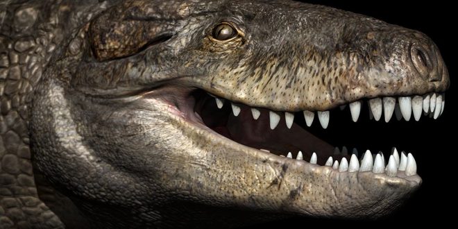 An Enormous crocodile was 24 feet long with teeth as sharp as a T-Rex's