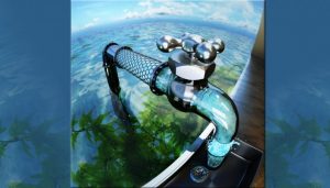 Carbon nanotubes desalinate water, says new study