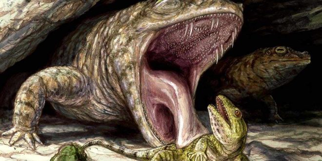 Ancient amphibians had mouthful of teeth, finds new research