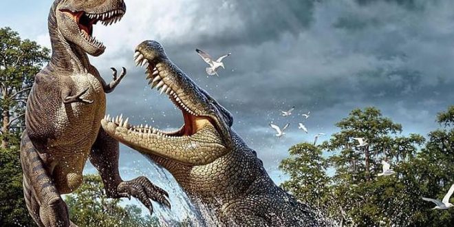 Experts identify new "top predator" prehistoric crocodile