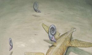 New Giant Necked Sea Monster Identified In Germany
