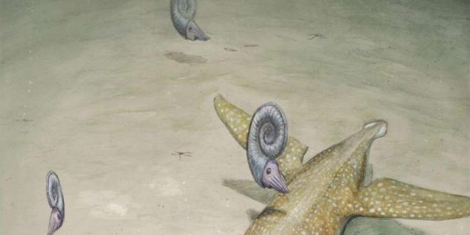 New Giant Necked Sea Monster Identified In Germany