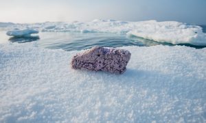 Researchers Have Found Blocks Of Polystyrene In Arctic Ice