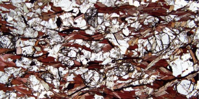 Scientists Find Signs of Life in 4 Billion-Year-Old Rocks
