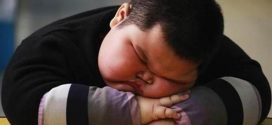 Children's Obesity Rates in Rich Countries May Have Peaked, Says New Study