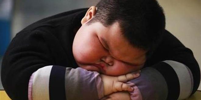 Children’s Obesity Rates in Rich Countries May Have Peaked, Says New Study