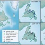 DNA Proves Ancient Diversity of Newfoundland, says new research
