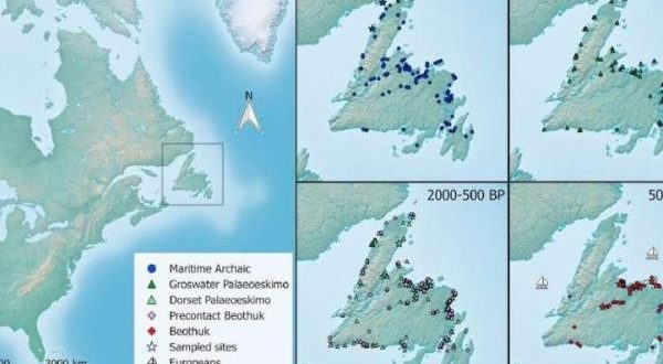 DNA Proves Ancient Diversity of Newfoundland, says new research