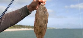 Fisherman almost dies after Dover sole jumps down his throat