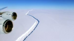 Giant Antarctic Iceberg's Split Reveals Ecosystem Hidden for Thousands of Years