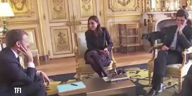 Macron’s Dog Busted Peeing on Palace Fireplace (Video)