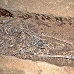Prehistoric humans 'avoided inbreeding', researchers say