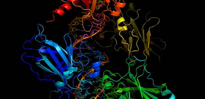 Researchers compare twins’ DNA after one of them went to space