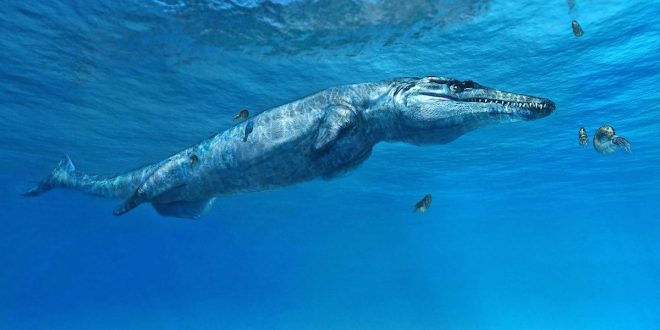 Researchers get to grips with a new Jurassic crocodile