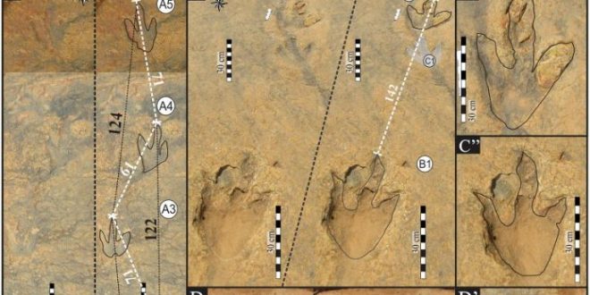 Scientists find ‘first for Africa’ dinosaur footprints in Lesotho