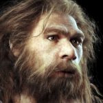 Scientists shed light on Neanderthals' legacy in humans