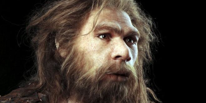 Scientists shed light on Neanderthals' legacy in humans