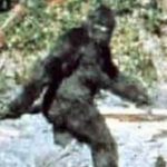 The "First Recorded" Evidence Of Big Foot Is 50 Year Old