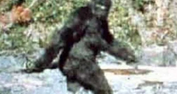 The “First Recorded” Evidence Of Big Foot Is 50 Year Old