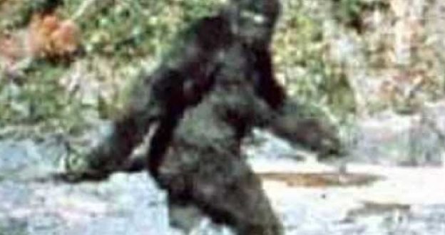 The "First Recorded" Evidence Of Big Foot Is 50 Year Old