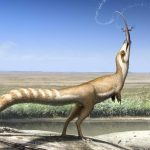 This Dinosaur Had a 'Bandit Mask' Like a Raccoon, Researchers Say