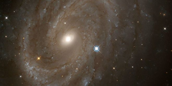 A1689B11: The most ancient spiral galaxy confirmed