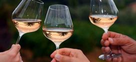 Alcohol Linked to Several Types of Cancer, Says New Study