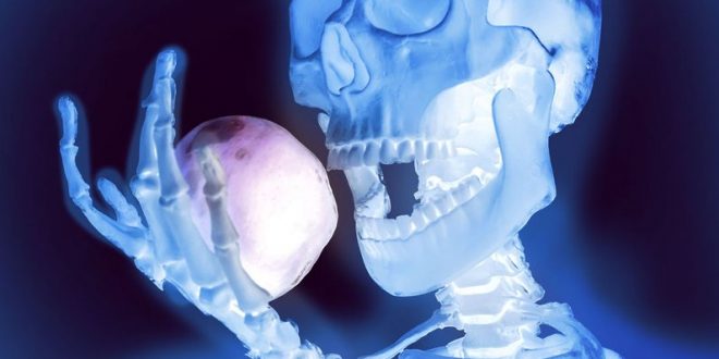 Bones have stealth role in appetite and metabolism