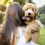 Dog ownership linked to lower mortality, says new study