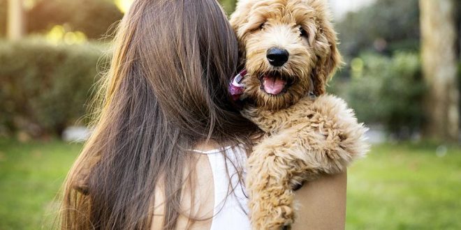 Dog ownership linked to lower mortality, says new study