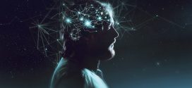 Human brain not as exceptional as thought, says new research