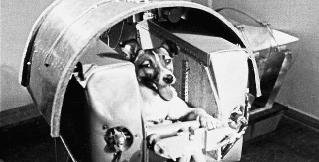 Laika the Cosmonaut Dog: USSR sends first living creature into orbit
