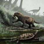 New Research: How the dinosaur-killing asteroid affected mammals