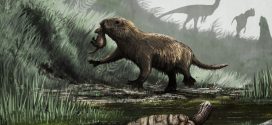 New Research: How the dinosaur-killing asteroid affected mammals