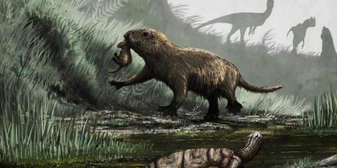 New Research: How the dinosaur-killing asteroid affected mammals