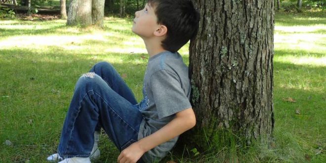 Noticing nature can increase your happiness, says new study