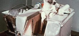 Remembering Laika the Dog's Trip to Space