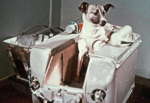 Remembering Laika the Dog's Trip to Space
