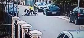 Stray Dog Rescues Woman From Mugger (Video)