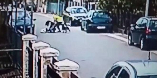 Stray Dog Rescues Woman From Mugger (Video)