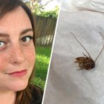 NOPE! Florida woman finds cockroach in her ear