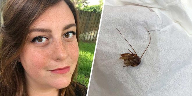 NOPE! Florida woman finds cockroach in her ear