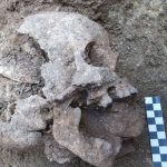 Vampire burial Reveals Efforts to Prevent Child's Return from Grave (Study)