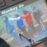 Longwood High School monkeys, Students Sue Over Racially-Insensitive