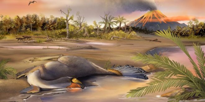 China: Organic molecule remnants found in dinosaur fossils